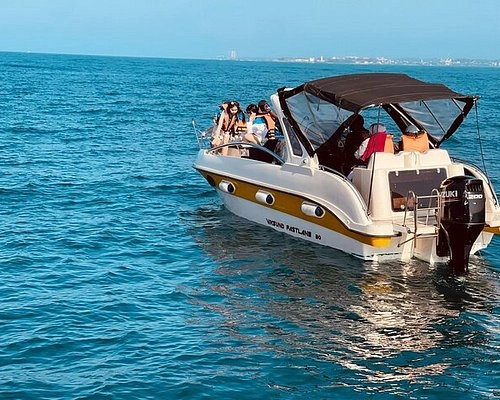 Boat Tours